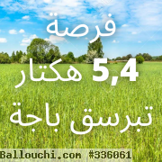 5,4 hectares pour grande cultures ou arborisation