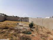 à vendre un terrain 354m² à BIRBOURAGBA 51333131