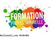 Formateurs en Illustrator et Indesign