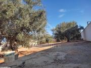 à vendre un terrain clôturé à HAMMAMET SUD 51333131