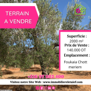 Réf TA 269 Une Bonne Offre a Foukaia