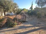 à vendre un terrain à HAMMAMET 51333131