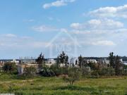 à vendre un superbe terrain 200m² à HAMMAMET SUD 51333131