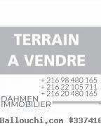 Pour des promoteurs à Khzema