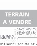 Terrain pieds dans l’eau