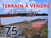 à vendre un terrain à hammamet sud 51333131
