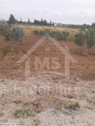 un superbe terrain à vendre à birbouragba 51333131