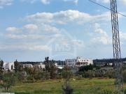 à vendre un superbe terrain à hammamet sud 51333131