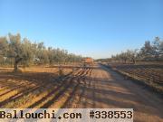 2 hectares à vendre à friguia sousse