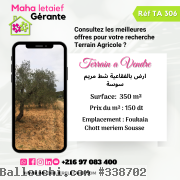 Terrain Agricole a Foukaia Chott meriem