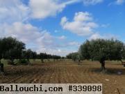 terrain a vendre