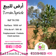 Réf 310 Terrain du 1050 m² a Foukaia Chott mariem