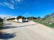 à vendre un terrain à HAMMAMET 51333131