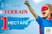 à vendre un terrain de 5 hectares à HAMMAMET SUD 51333131