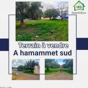 à vendre un superbe terrain à hammamet sud 51333131