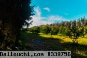 7 hectare a Vendre !nabeul