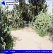 للبيع سانية بولاية القيروان