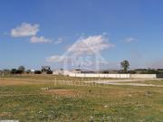 à VENDRE un TERRAIN à HAMMAMET 51333131