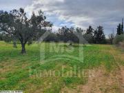 Superbe terrain à vendre à Hammamet Sud 51355351