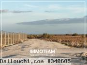 Terrain à vendre Ibtihel 00216 21 256 253
