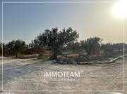 Terrain à vendre Ibtihel 00216 21 256 253