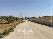 Terrain à vendre Ibtihel 00216 21 256 253