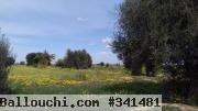 Terrain de 5.7 hectares Isned