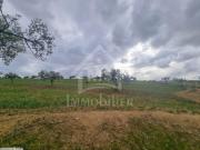 un terrain 1 Hectare à VENDRE à HAMMAMET Sud