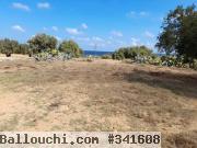 Terrain a vendre a teboulba
