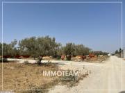 Terrain à vendre IBTIHEL 21.256.253