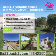 SENIA A vendre ferme a Rmila chott meriem