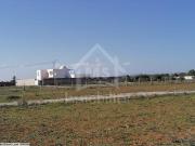 Terrain de 557 m² à vendre à 90 MD à Hammamet Sud 51355351