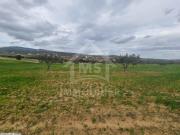 Terrain de 1 hectare à vendre à Hammamet à 170 MD 51355351