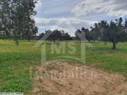 à VENDRE un Terrain de 5042m² à HAMMAMET SUD 51333131