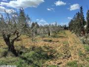 Un superbe terrain à vendre à Sidi Hammed à 125 MD 51355351