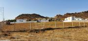 A vende, un superbe terrain de 1000 m² à Sidi Hammed 51355351