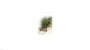 Studio vac hammamet