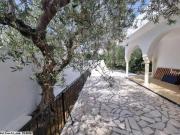 Villa DALOU (Réf: L2609)