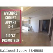 Coquet Appartement S+1 neuf