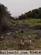 Terrain Forêt Montagne