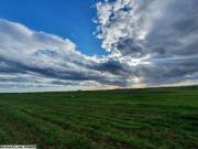 Terrain JOYS 2 (Réf: T1374)