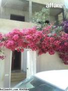 Belle Villa Enkhilette