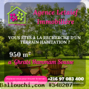 Nouvelle Offre 