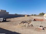 Superbe terrain à vendre à Maamoura 51355351