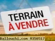 Réf : T53 Terrain Sandra