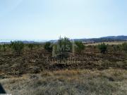 Terrain de 4 hectares à vendre à Hammamet 51355351
