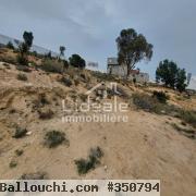 terrain Abir à Hammamet Nord