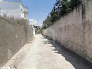 Un terrain à vendre à birbourgba 51355351