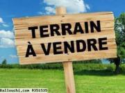 A vendre un terrain de 230 m² a ain zaghwen