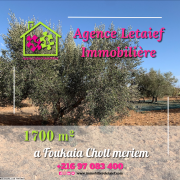 Terrain Agricole de 1700 M² avec une Belle Vue Foukaia - Chott Mariem